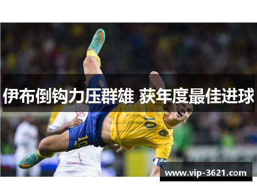 伊布倒钩力压群雄 获年度最佳进球