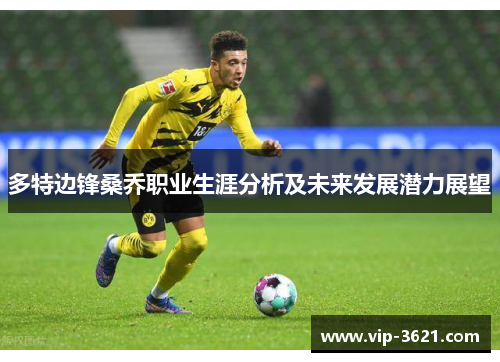 多特边锋桑乔职业生涯分析及未来发展潜力展望