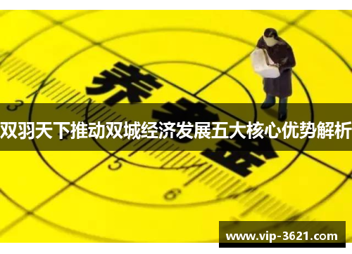 双羽天下推动双城经济发展五大核心优势解析